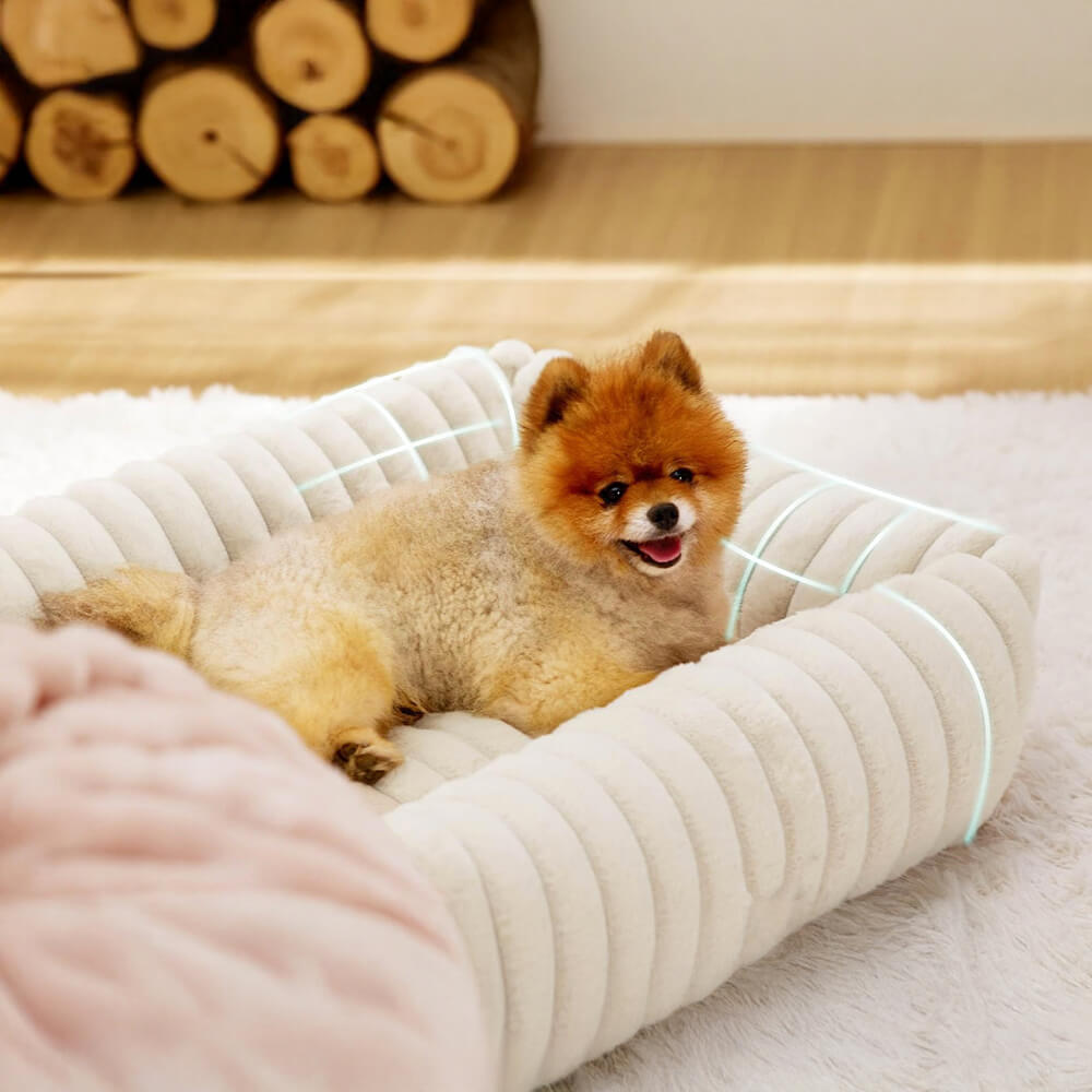 Bolstered Orthopedic Pet Bed – Warm, Supportive & Cozy