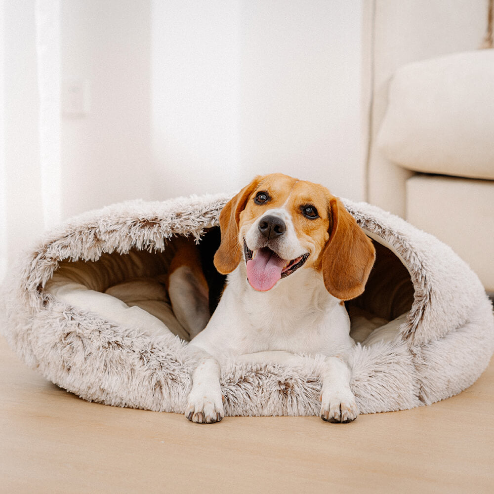 Cozy & Secure Semi-Enclosed Pet Bed