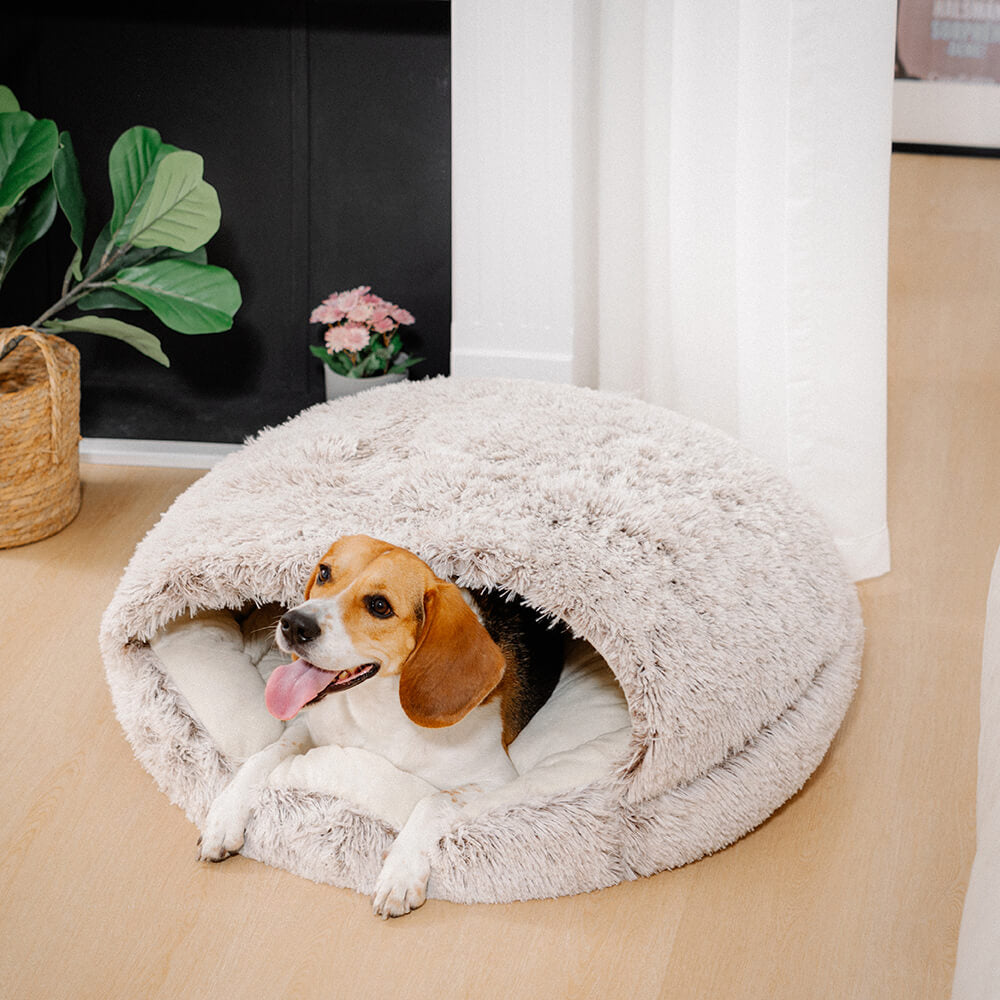 Cozy & Secure Semi-Enclosed Pet Bed