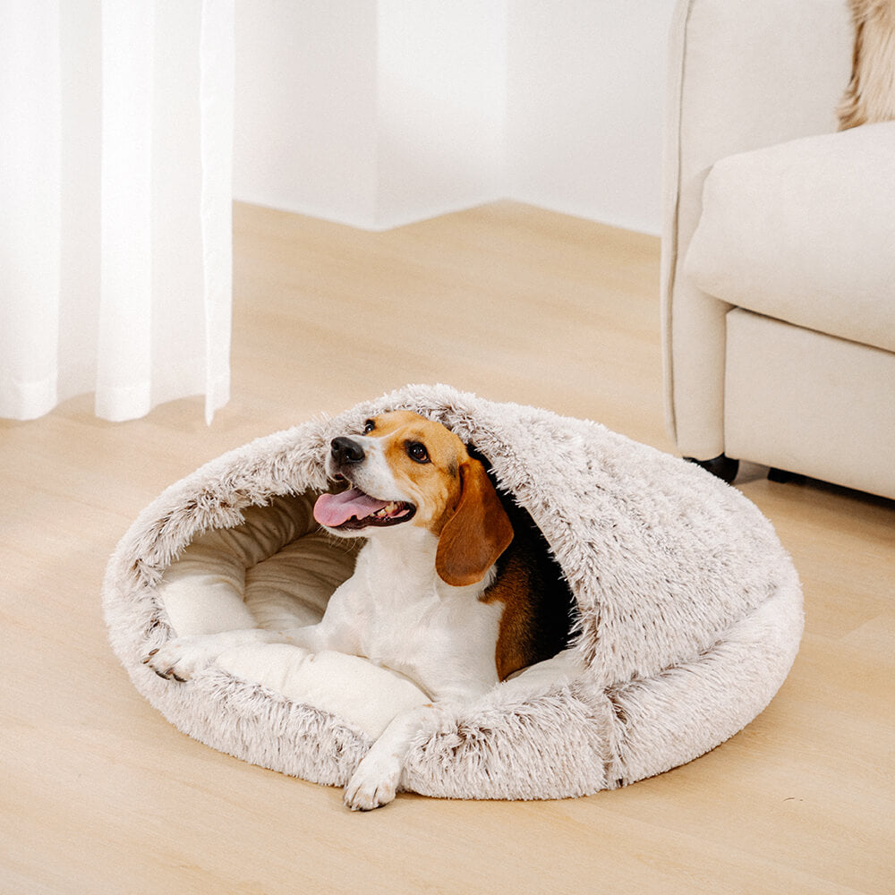 Cozy & Secure Semi-Enclosed Pet Bed